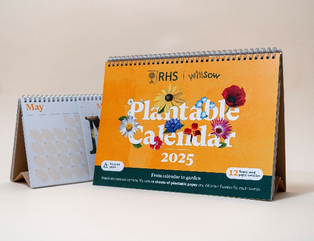 plantable 2025 desk calendar